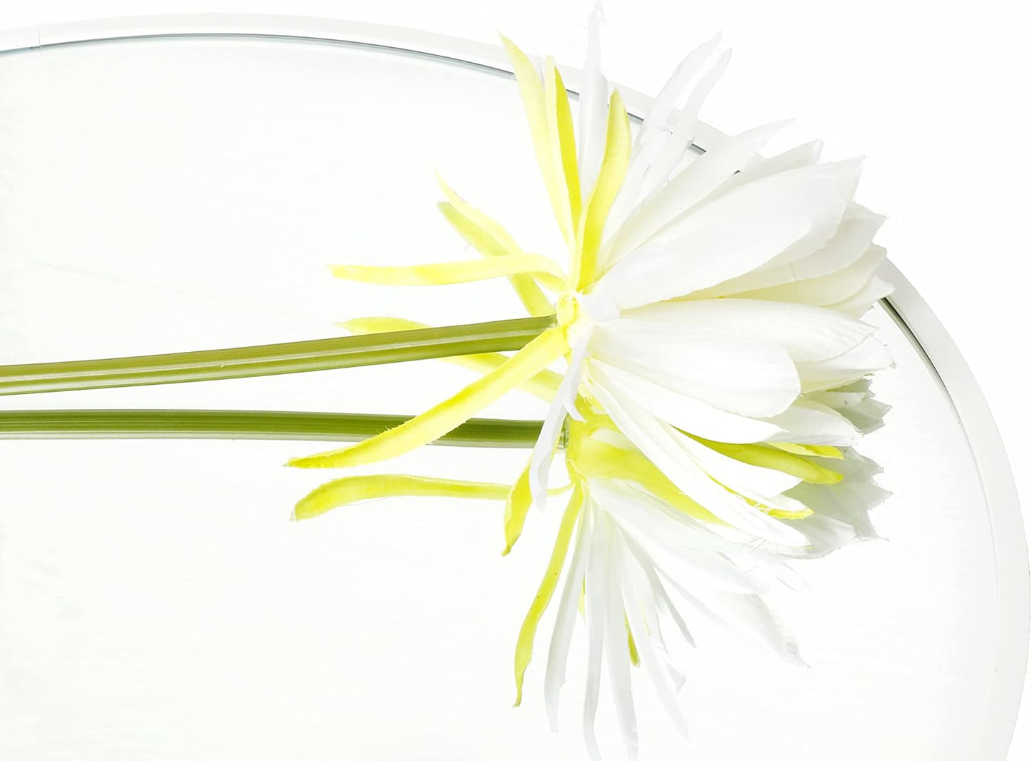 FrameWorks 24" Deluxe Contemporary White Circular Aluminum Mirror