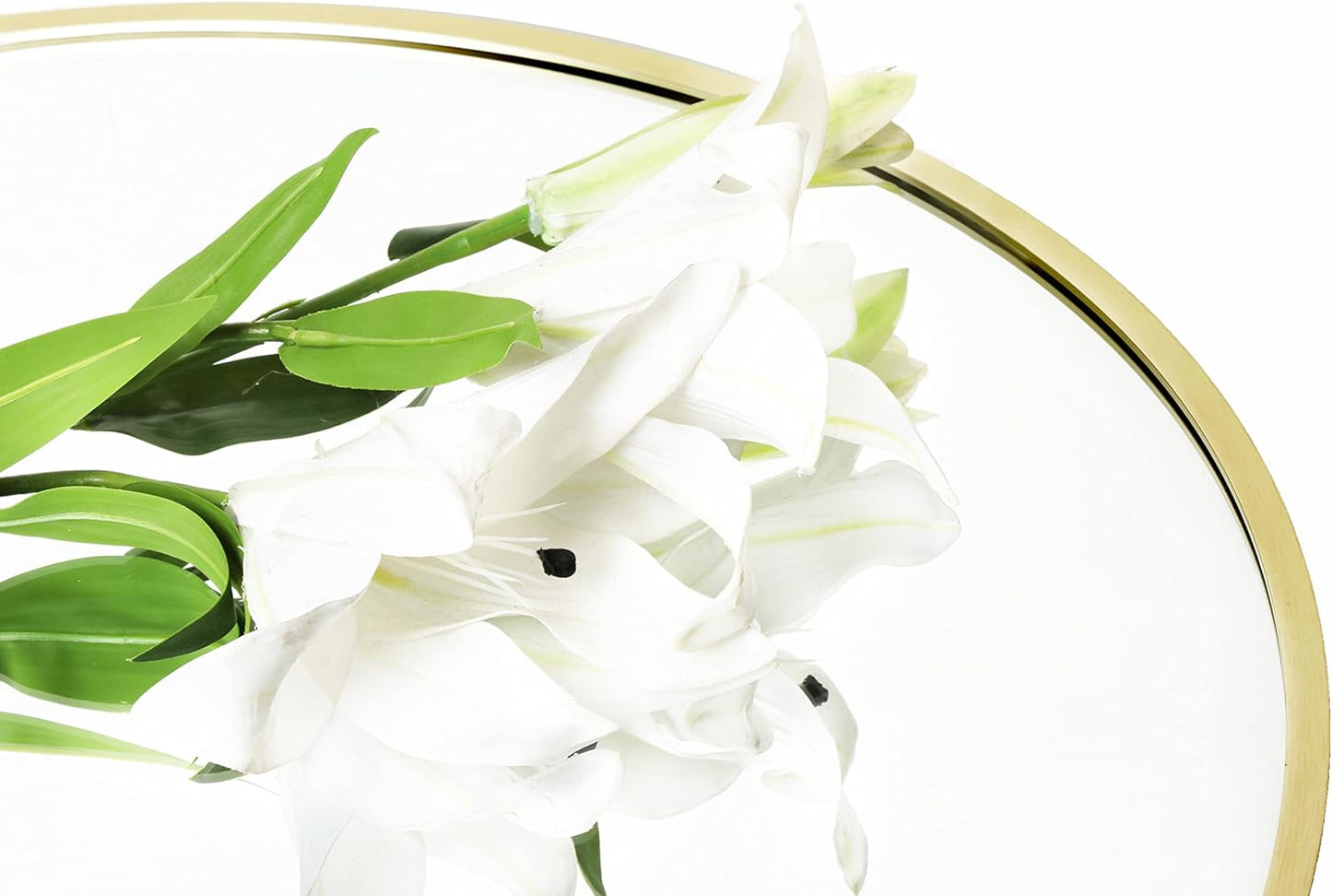 FrameWorks 20" Deluxe Contemporary Brass Gold Circular Aluminum Mirror