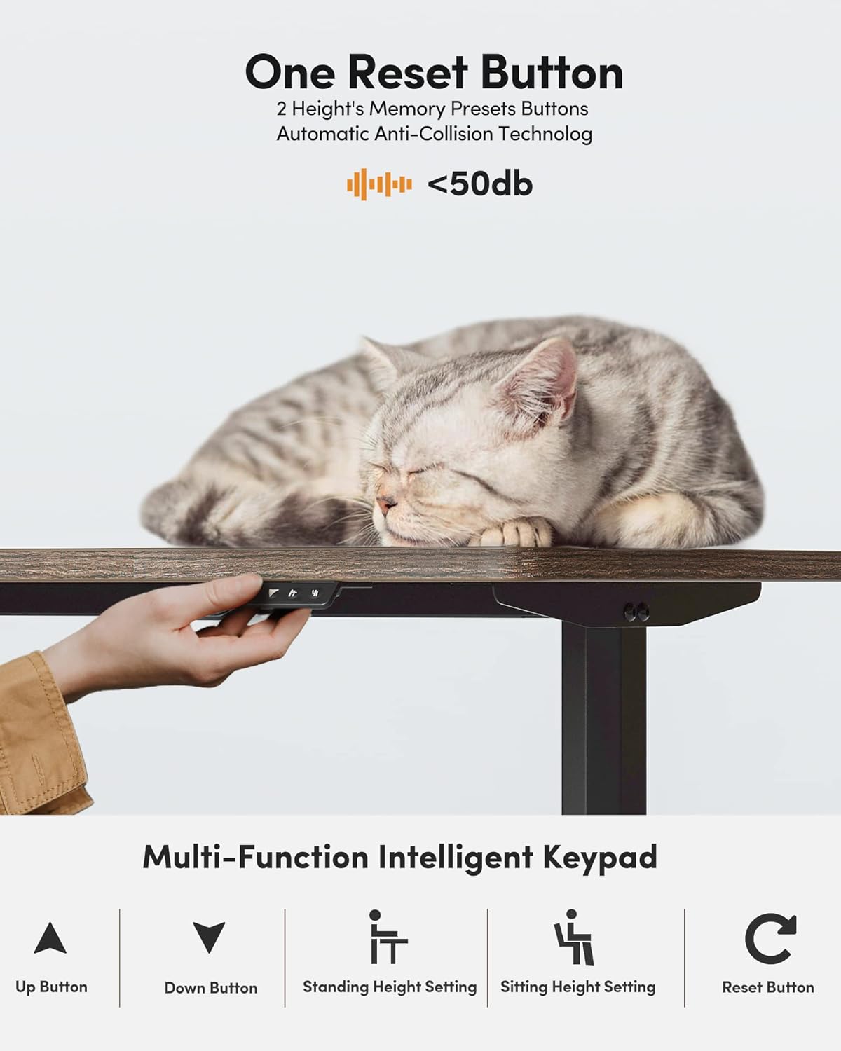 BANTI 55"x24" Standing Desk, Electric Stand up Height Adjustable Home Office Table, Sit Stand Desk with Splice Board, Black Frame & Rustic Brown Top