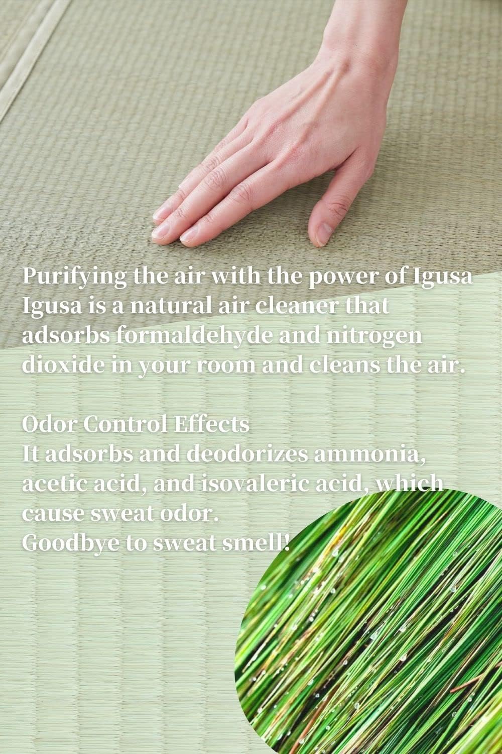 BJDesign Japanese Tatami Mat (Igusa Mattress), Foldable, Rush Grass, Floor Sleeping Japanese Futon Mattress Meditation Yoga Zen (Queen XL)