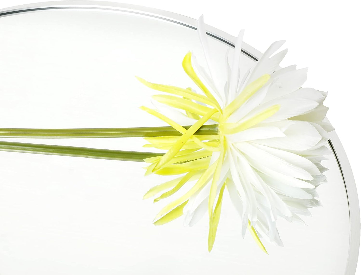 FrameWorks 24" Deluxe Contemporary Silver Circular Aluminum Mirror