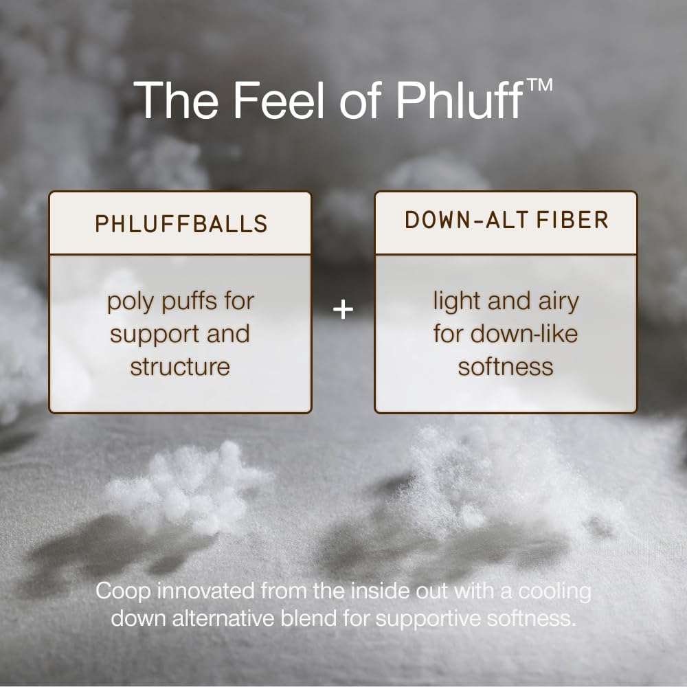 Coop Home Goods Essence Down Alternative Mattress Topper Cal King, Plush 2-Inch Gusset and Baffle Box Design for Even Support and Comfort, Premium Bed Topper for Pressure Relief, Oeko-TEX Certified