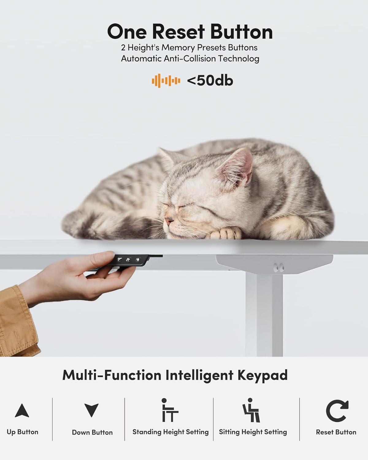 BANTI 44"x24" Standing Desk, Electric Stand up Height Adjustable Home Office Table, Sit Stand Desk with Splice Board, White Frame & White Top