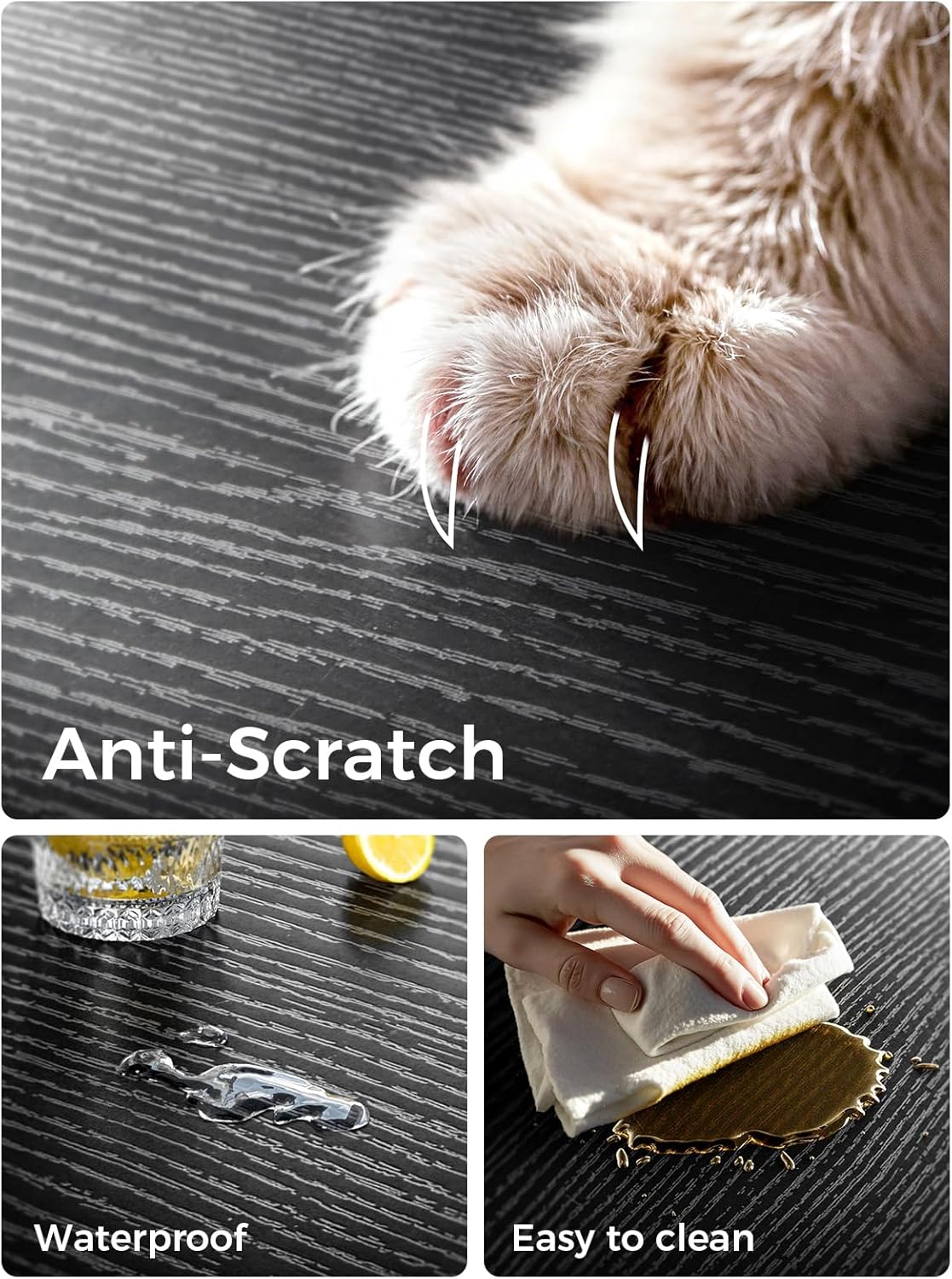 Casaottima 4-Tier Open Bookshelf and Bookcase, Floor Standing Display Storage Shelves for Living Room, Tall Book Shelf for Bedroom, Home Office, Dining Room, Black