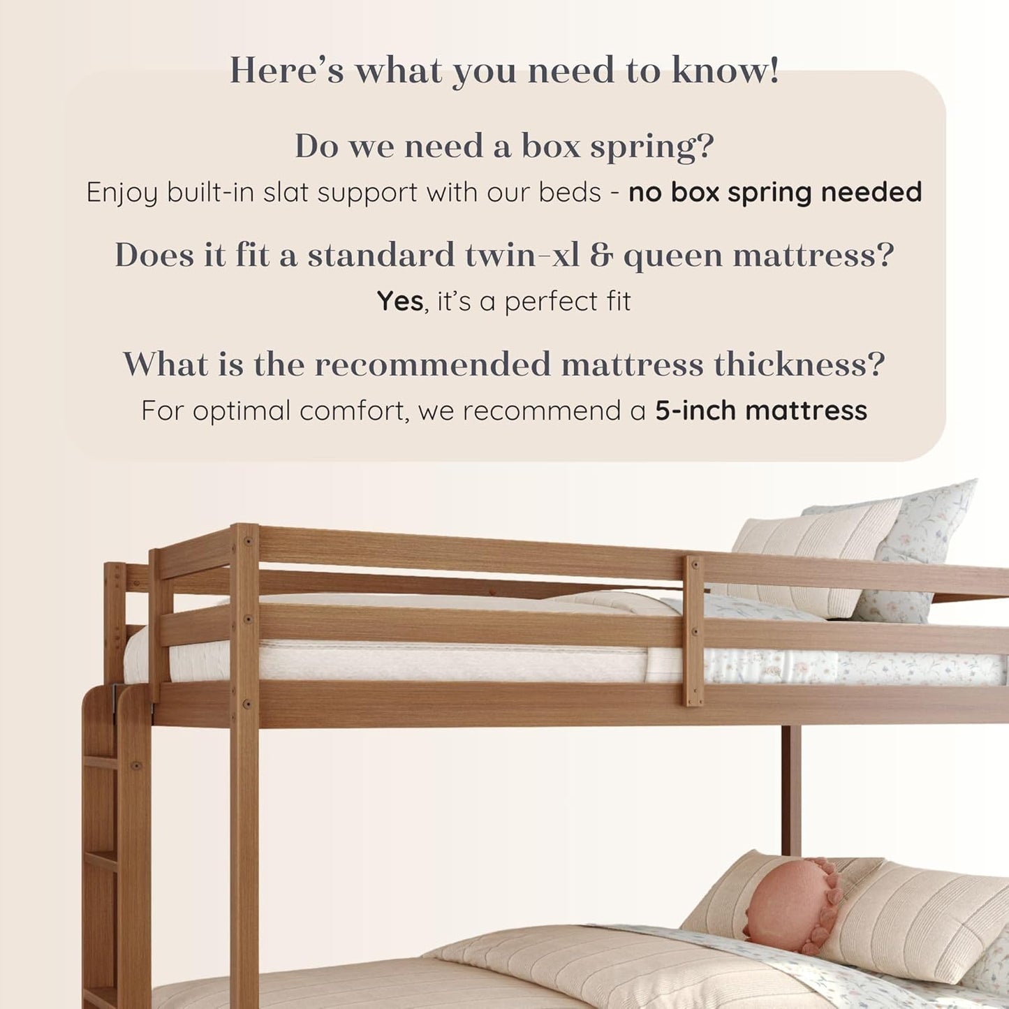 Grain & Grove Bear Twin XL Over Queen Bunk Bed, Sturdy Bunk Bed Frame for Kids, Plywood Bunk with Ladder, Guardrail, and Slats, No Box Spring Required, Oak Embossed Pecan