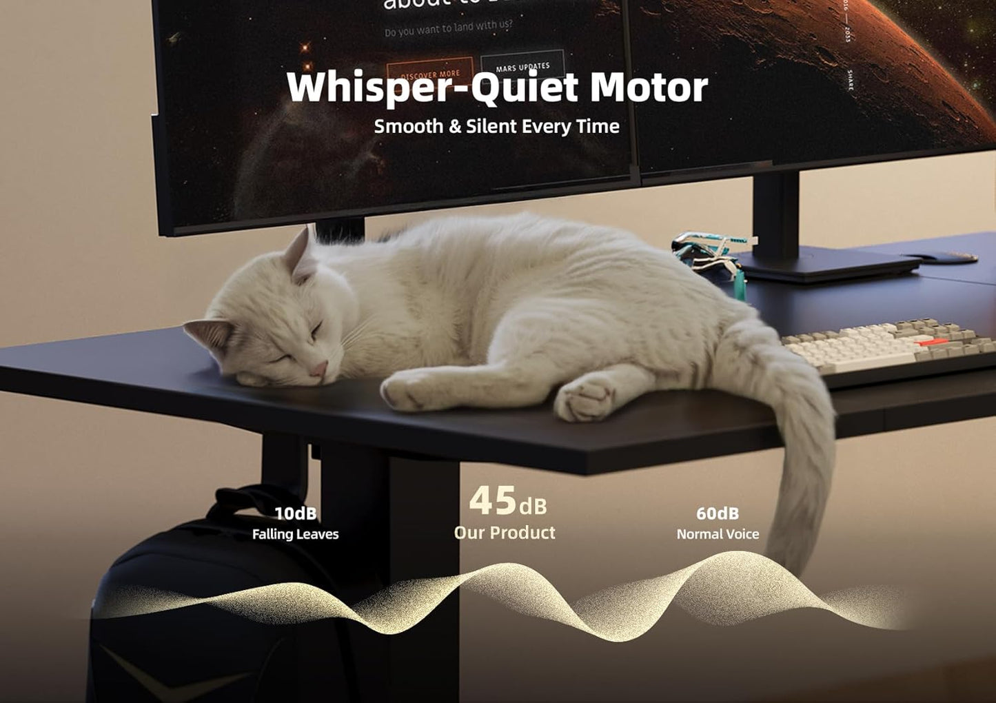 Seang Electric Standing Desk Adjustable Height, 48 x 24 Inch Sit Stand Desk with T-Shaped Frame, 3 Memory Presets & Cable Management for Home Office Computer Workstation, Black Frame/Black Top