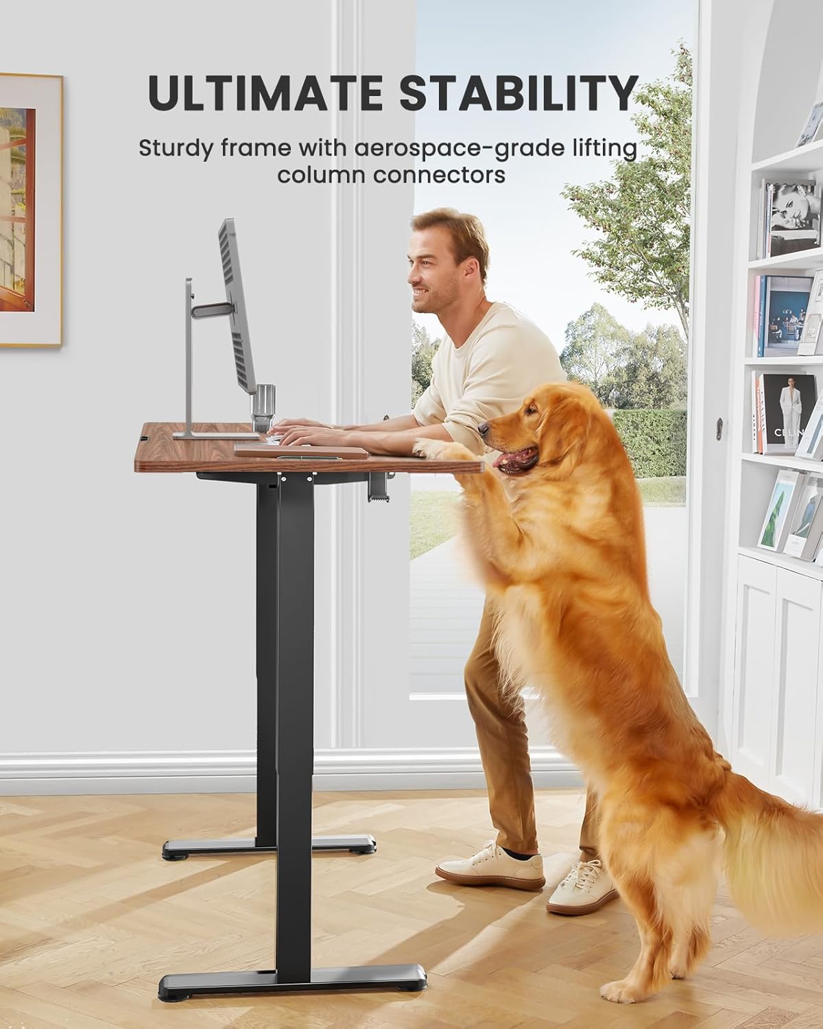 ErGear Height Adjustable Electric Standing Desk, 40 x 24 Inches Sit Stand up Desk, Small Memory Computer Home Office Desk with Two-Piece Desktop (Walnut)