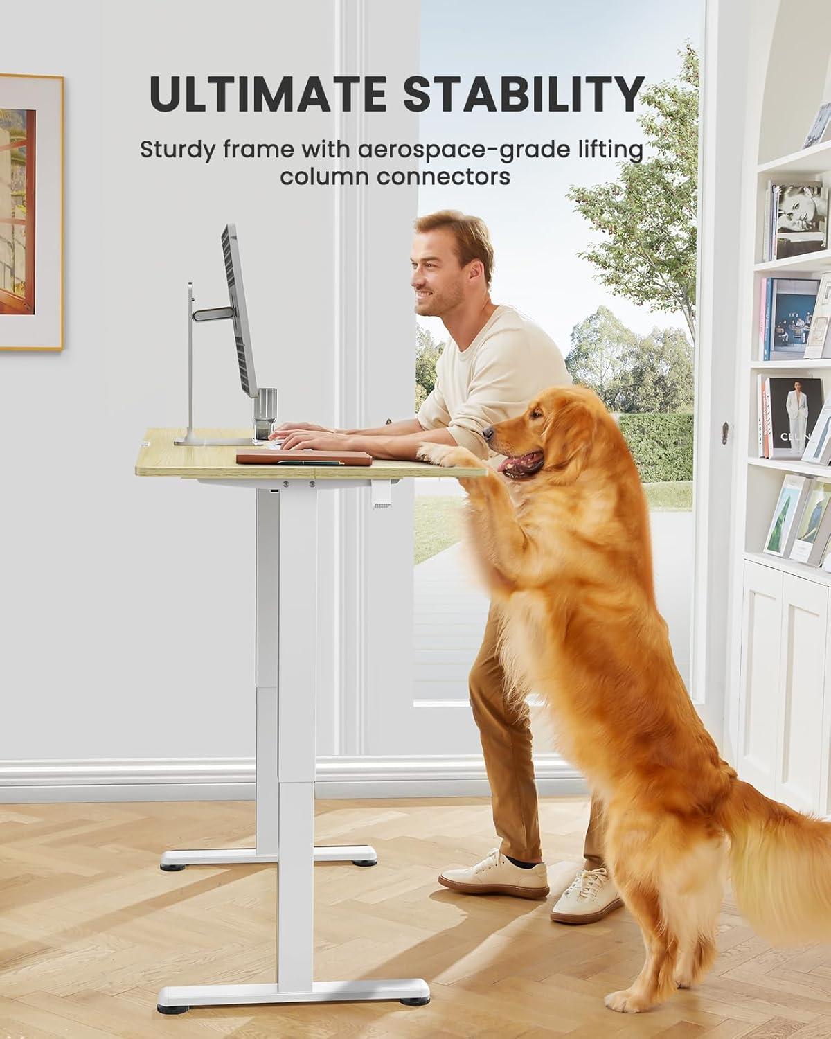 ErGear Height Adjustable Electric Standing Desk, 40 x 24 Inches Sit Stand up Desk, Small Memory Computer Home Office Desk with Two-Piece Desktop (Natural)