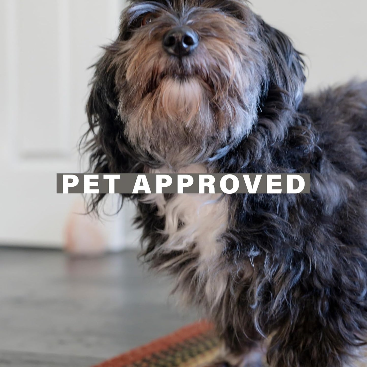 Highland Multicolor Small Braided Rug, 27x45 Rectangle - Handmade with Jute, Warm Country and Cabin Decor, Perfect for Bathrooms and Entryways - Durable and Easy to Clean