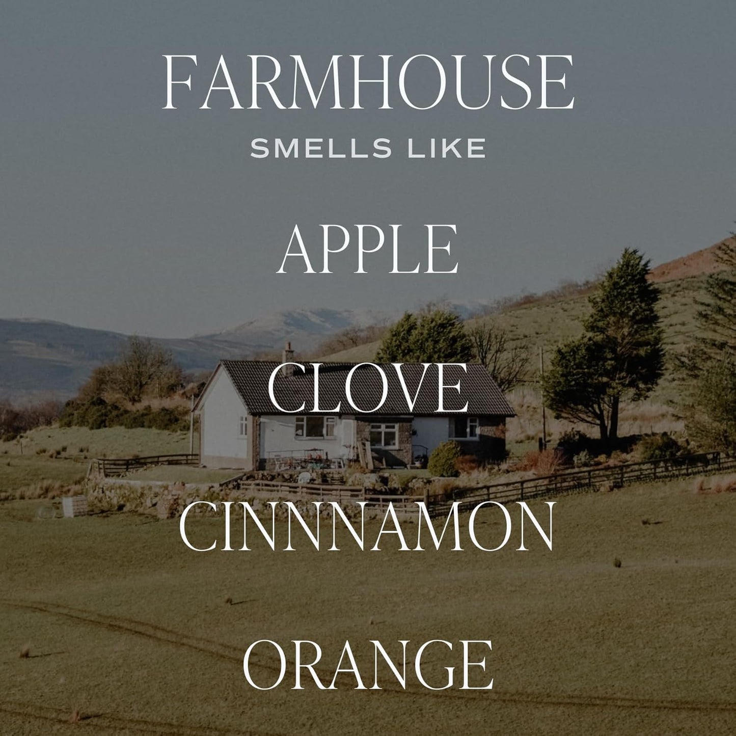 Sweet Water Decor Farmhouse Sandstone Reed Diffuser, Fall Scent with Pumpkin, Apple & Spices, Long-Lasting Non-Toxic Fragrance Oil for Living Room, Kitchen & Bathroom, Cozy Autumn Gift for Her