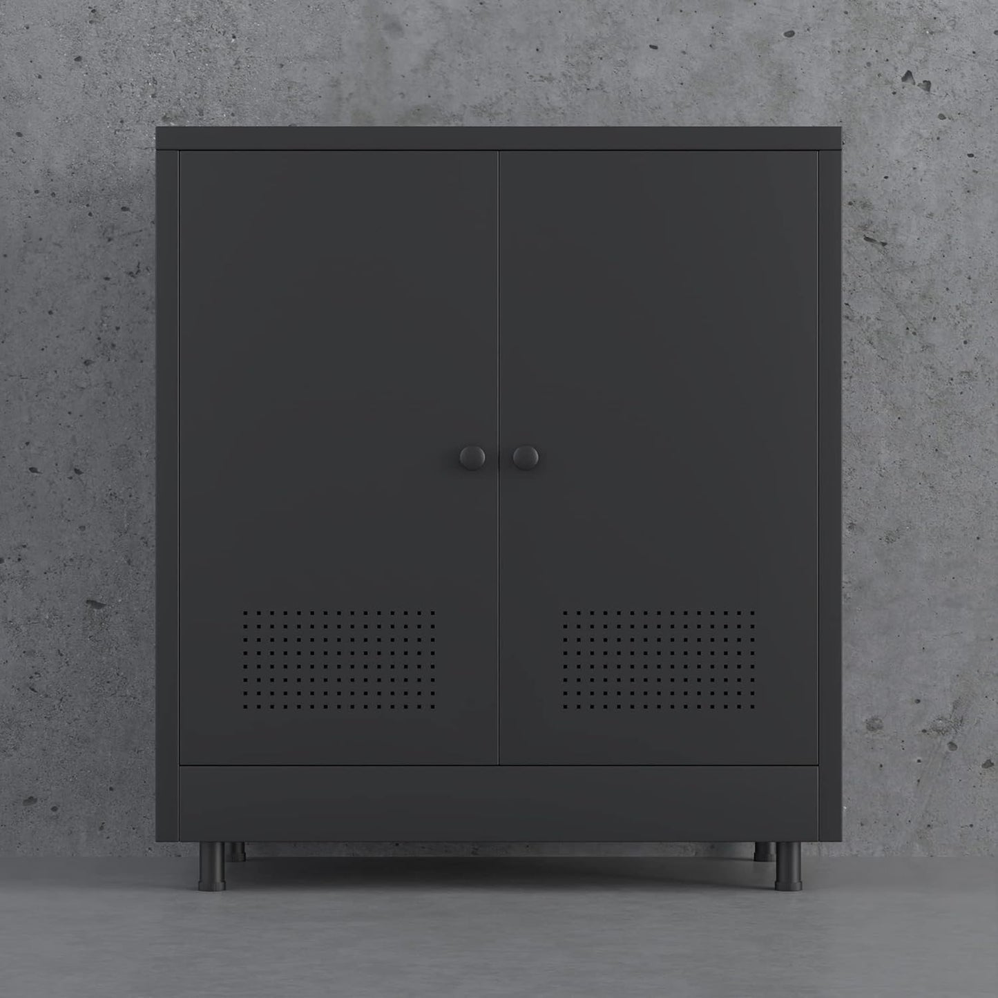 Metal Storage Cabinet with 2 Doors and Adjustable Shelf, Steel Accent Sideboard Buffet Cabinet for Home, Office, Garage, Entryway, Living Room, Kitchen Pantry and Dining Room (Black)