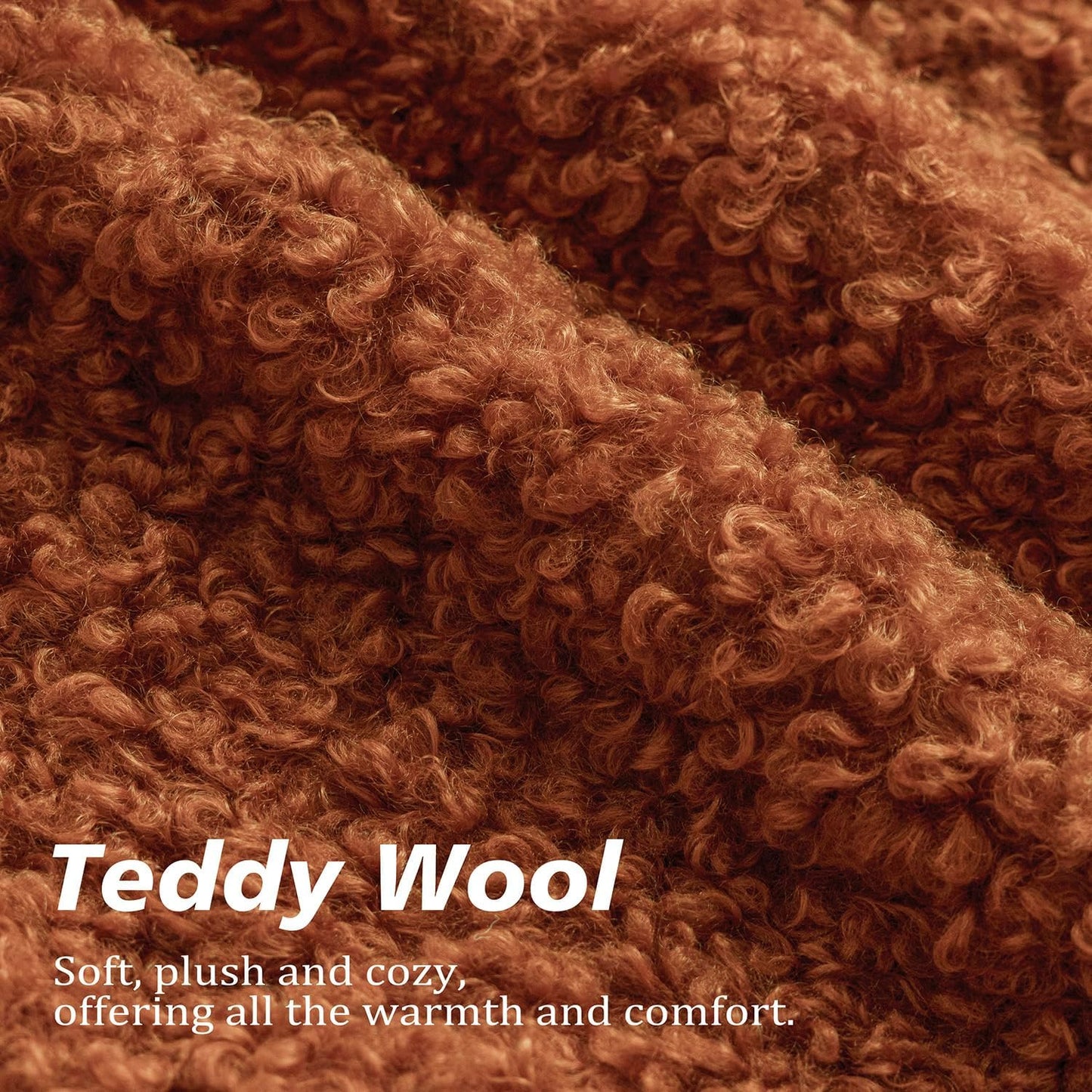 Foindtower 2 Pieces 18x18 Inch Burnt Orange, Faux Fur Throw Pillow Cover Accent Sherpa Furry Pillow Cover Fuzzy Soft Pillowcases Cozy Sheepskin Decorative Fleece Cushion Case for Bed Couch Living Room