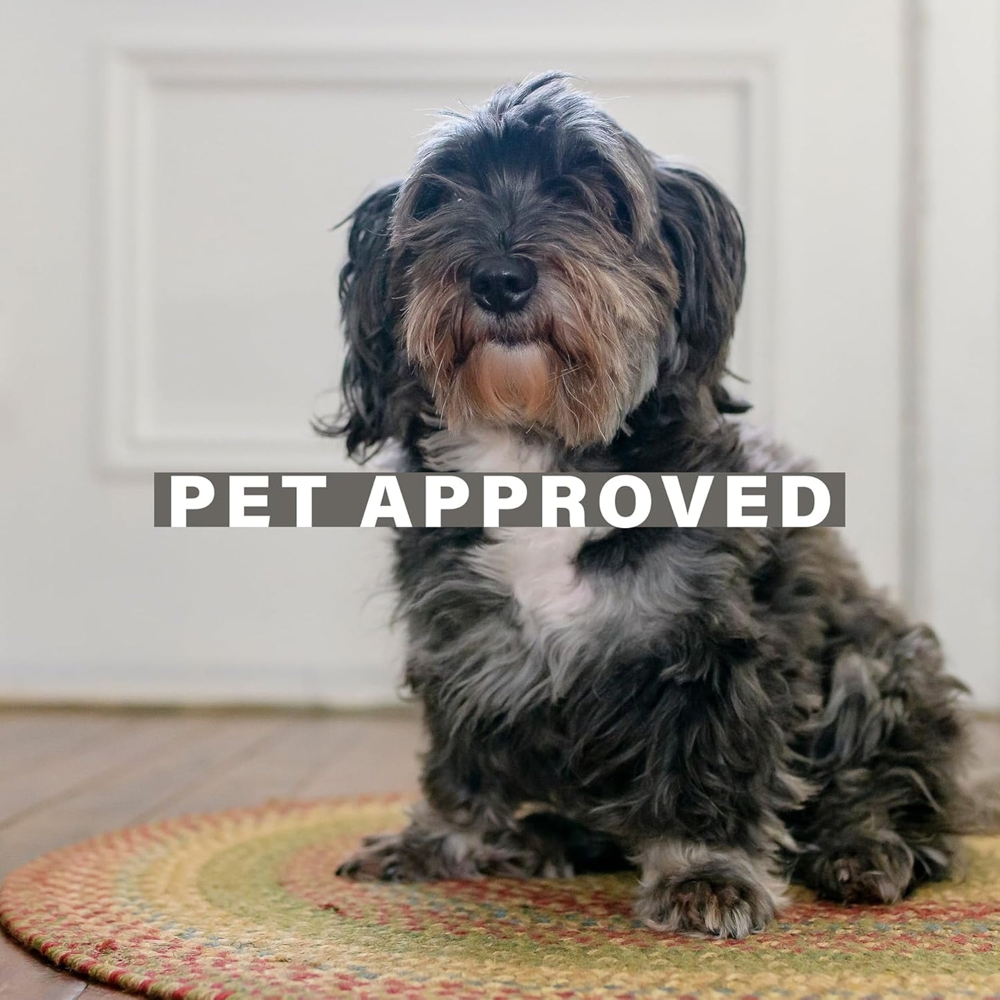 Azalea Multi Color Oval Braided Rug, Jute, 2x3' - Perfect Country Primitive Decor for Entryway, Kitchen, Everywhere