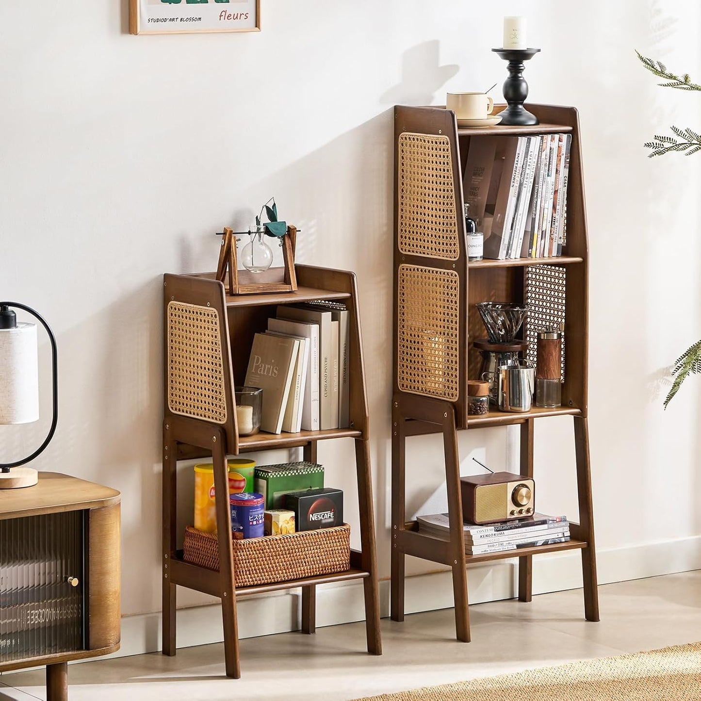 Welnow Bamboo Rattan Bookcase with Cabinet, 1-Tier Storage Shelf with Side Table & End Table Function, Large Modern Wood Organizer for Living Room or Bedroom, Walnut Bookshelf
