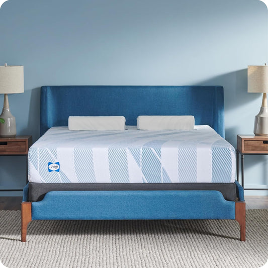 Sealy Dreamlife 10” Foam Mattress-in-a-Box, Queen, SealyComfort Gel Memory Foam, Surface-Guard Technology, 10 Year Limited Warranty, Made in The USA