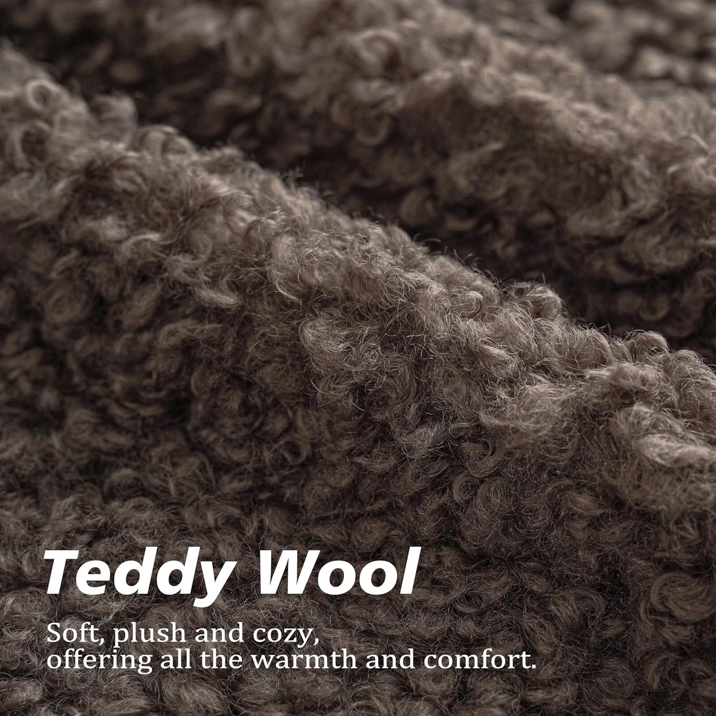 Foindtower 2 Pieces Teddy Faux Fur Throw Pillow Cover Decorative Sherpa Pillow Fuzzy Accent Pillowcases Soft Sheepskin Fleece Cushion Case for Bed Couch Living Room 18x18 Inch Chocolate